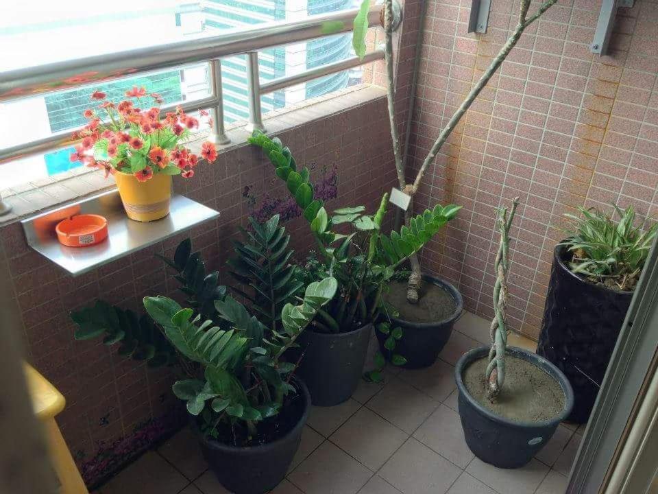 Jia Jia House Leilighet Kaohsiung Eksteriør bilde